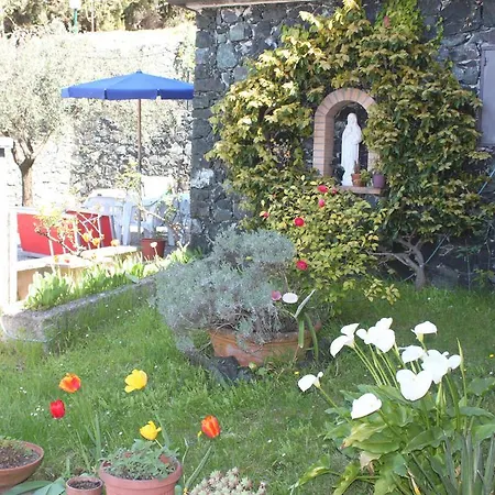 L'ulivo - Nature & Relax