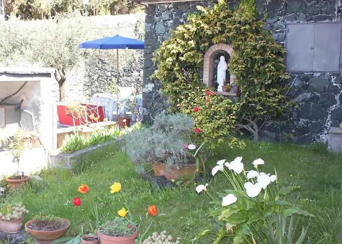 L'ulivo - Nature & Relax