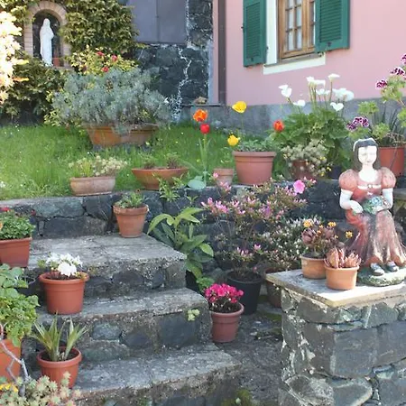 Hébergement de vacances L'ulivo - Nature & Relax *