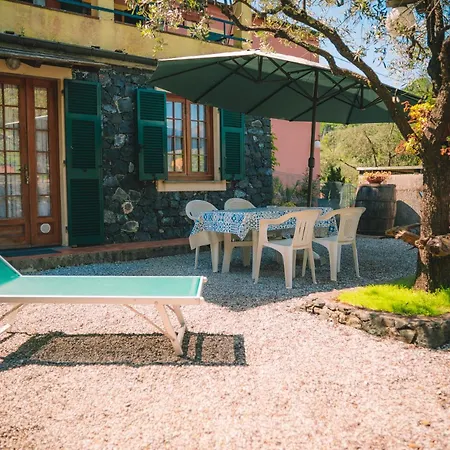 L'ulivo Casa vacanze