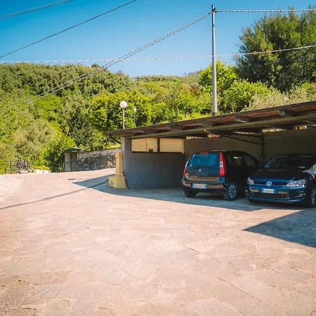 Casa vacanze L'ulivo