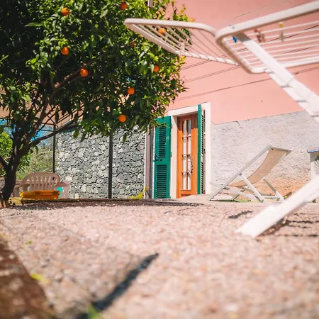 L'ulivo Casa vacanze Levanto