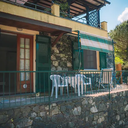 L'ulivo *