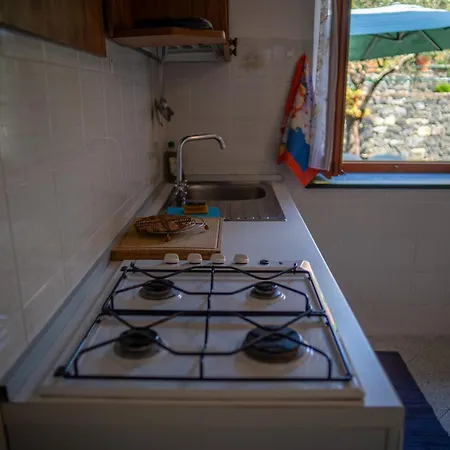 L'ulivo * Levanto