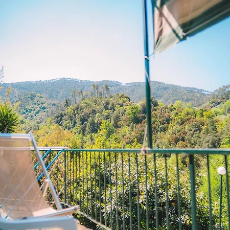 Casa vacanze L'ulivo *